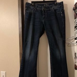Silver Brand Suki Surplus Jeans